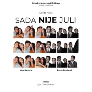 Ulaznica za pozorišnu predstavu "SADA NIJE JULI"